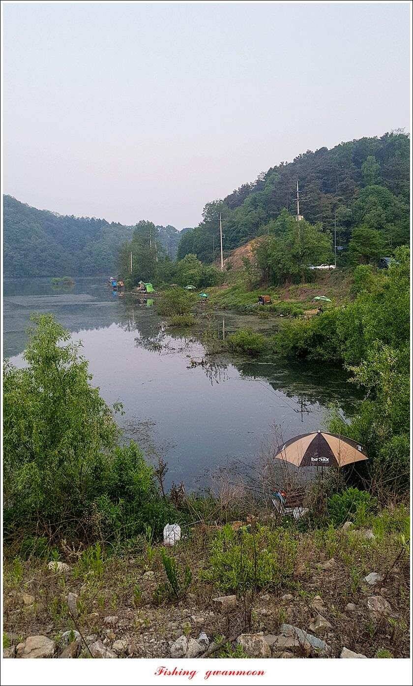 달천강화곡지 사짜칠성지 사짜 조황 (조황조행기 - 특파원조황)
