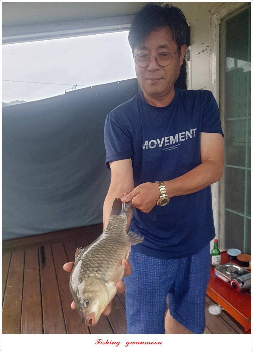 제일 4 짜 마릿수 대박돌감 4 짜 조황 (조황조행기 - 특파원조황)