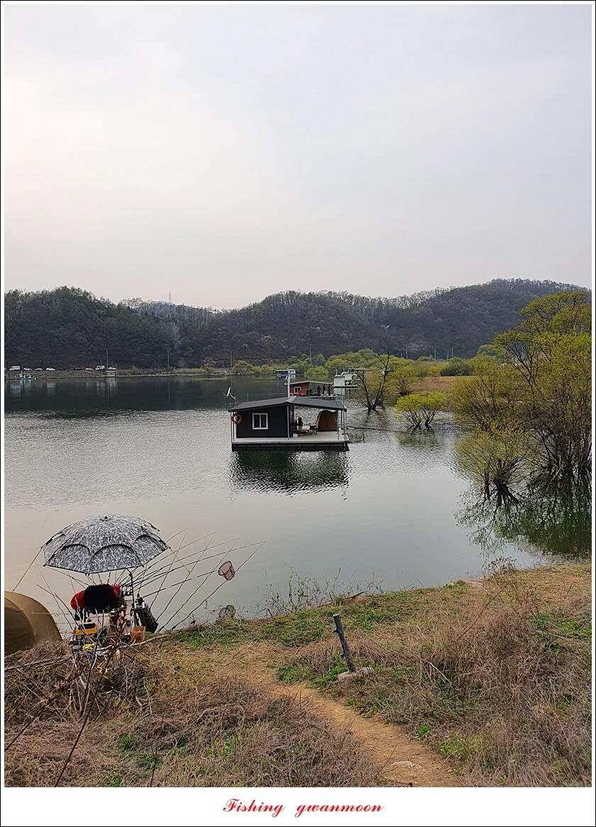 한버들 4 짜노지39 cm화곡지 사짜 조황 (조황조행기 - 특파원조황)
