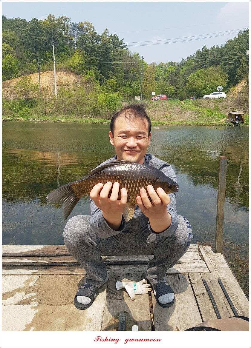 화곡지 사짜 마릿수칠성지 대물 조황 (조황조행기 - 특파원조황)