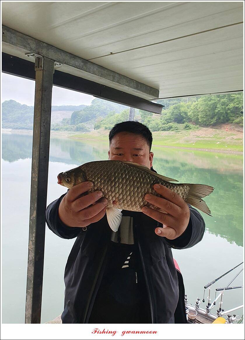 신리 44 cm실리곡 41 cm돌감 405 cm칠성지 대물 조황 (조황조행기 - 특파원조황)