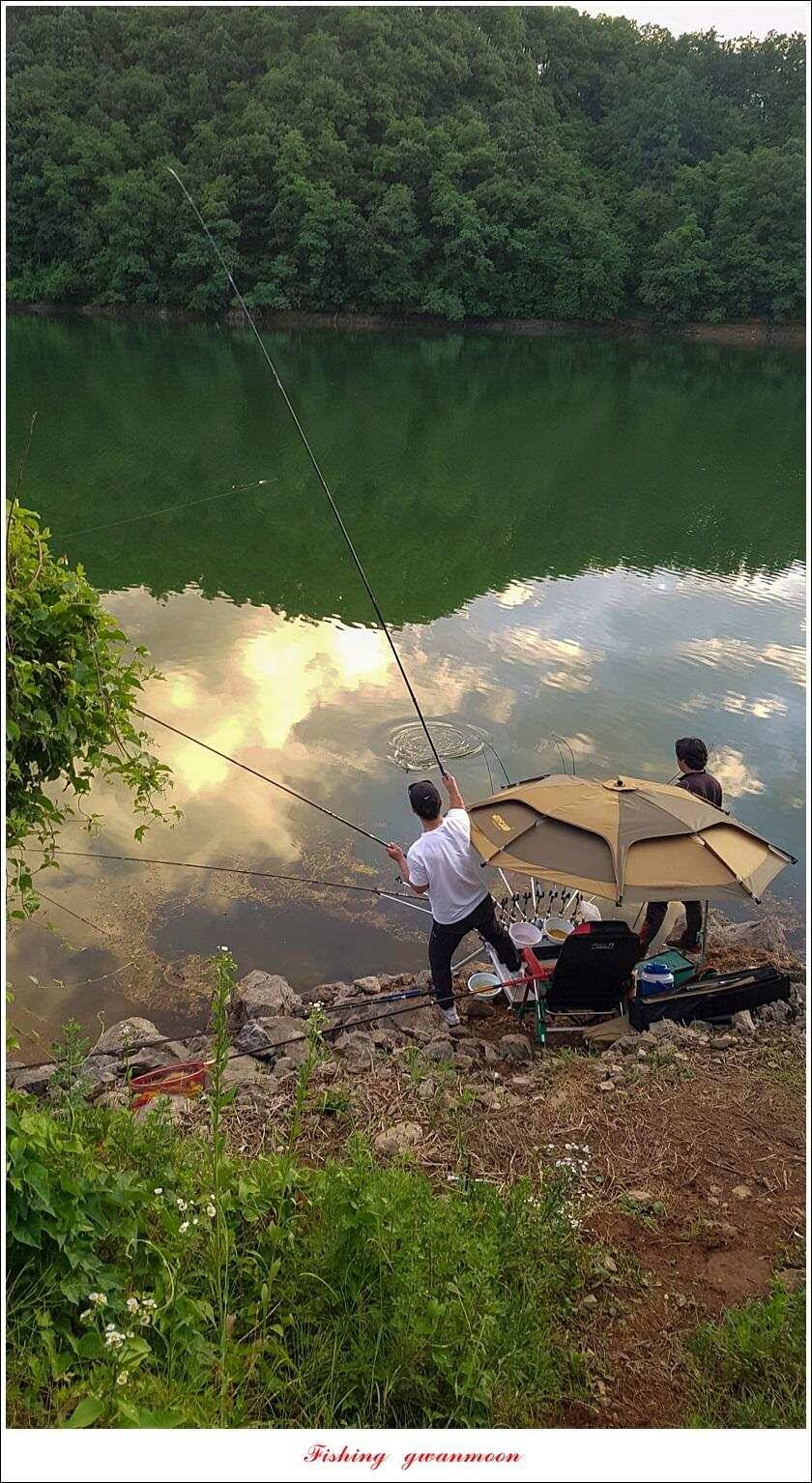 화곡지 사짜덕곡 37 cm추평지 조황 (조황조행기 - 특파원조황)