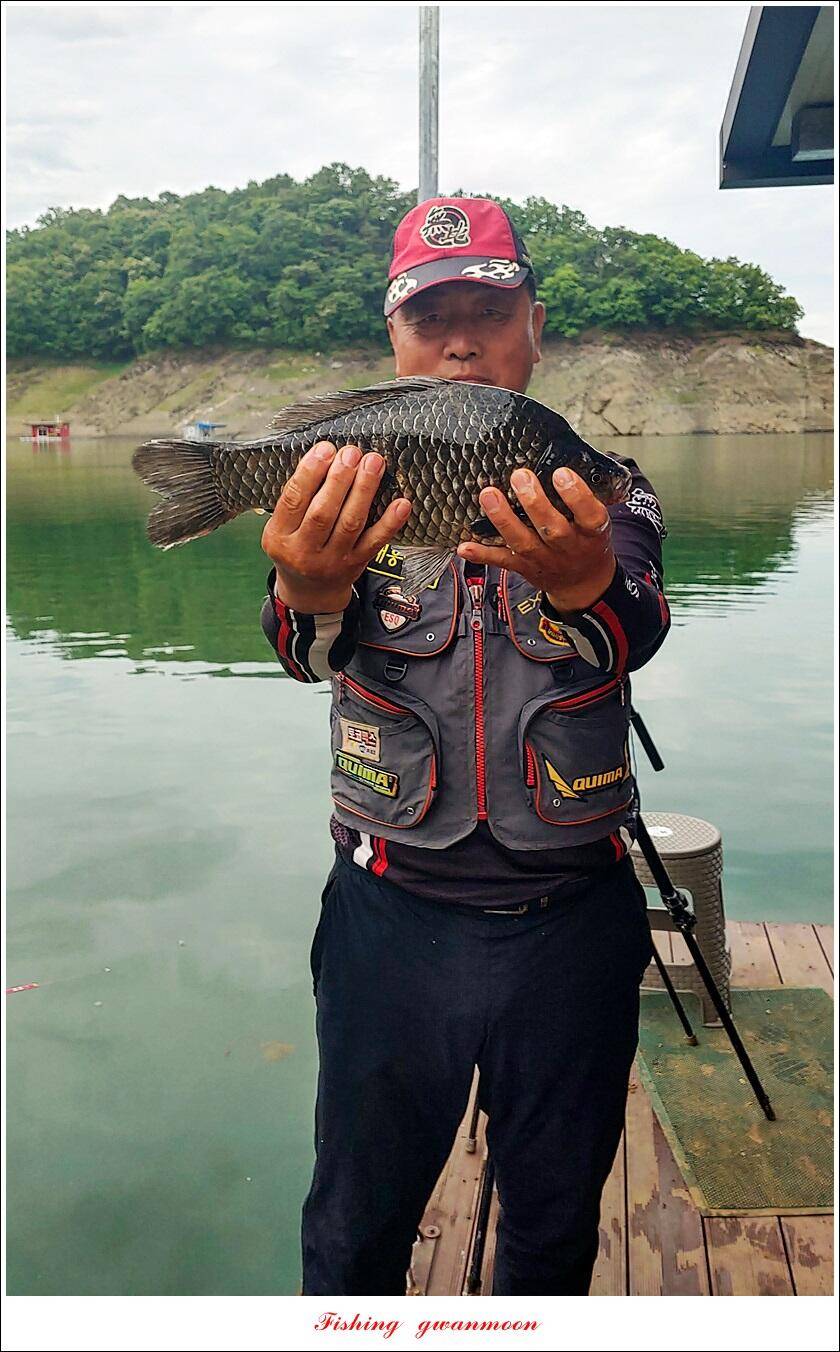 문골 39 cm 및 대물 조황 (조황조행기 - 특파원조황)