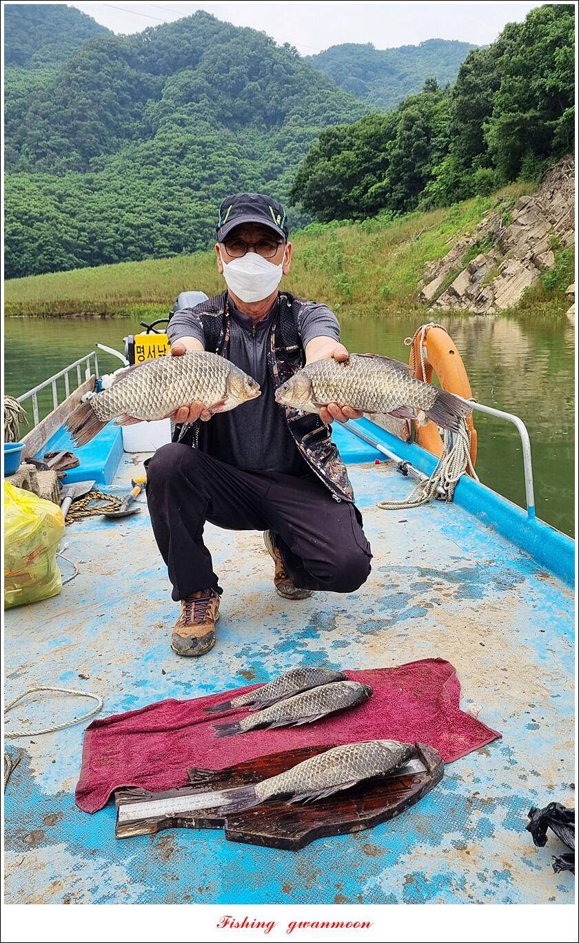 명서 노지 4 짜 마릿수돌감 4 짜사오리 4 짜솔 4 짜 대물 조황 (조황조행기 - 특파원조황)
