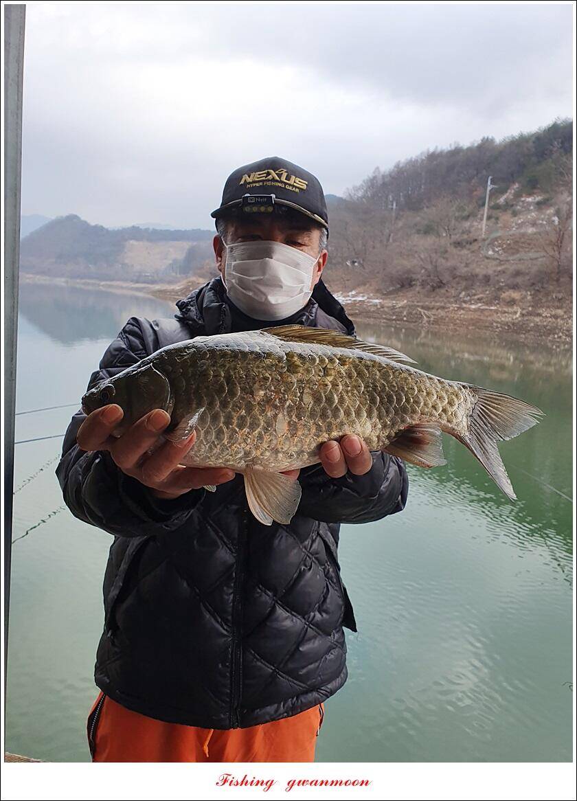 실리곡 44 cm41 cm40 cm돌감 40 cm사짜 조황 및 이벤트 시상 (조황조행기 - 특파원조황)
