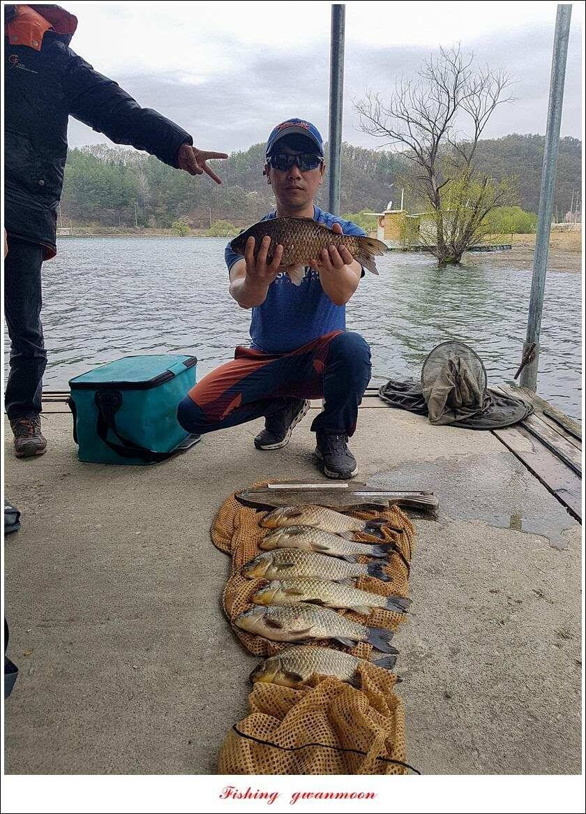 제일 39 cm 대물 조황화곡지칠성지 조황 (조황조행기 - 특파원조황)
