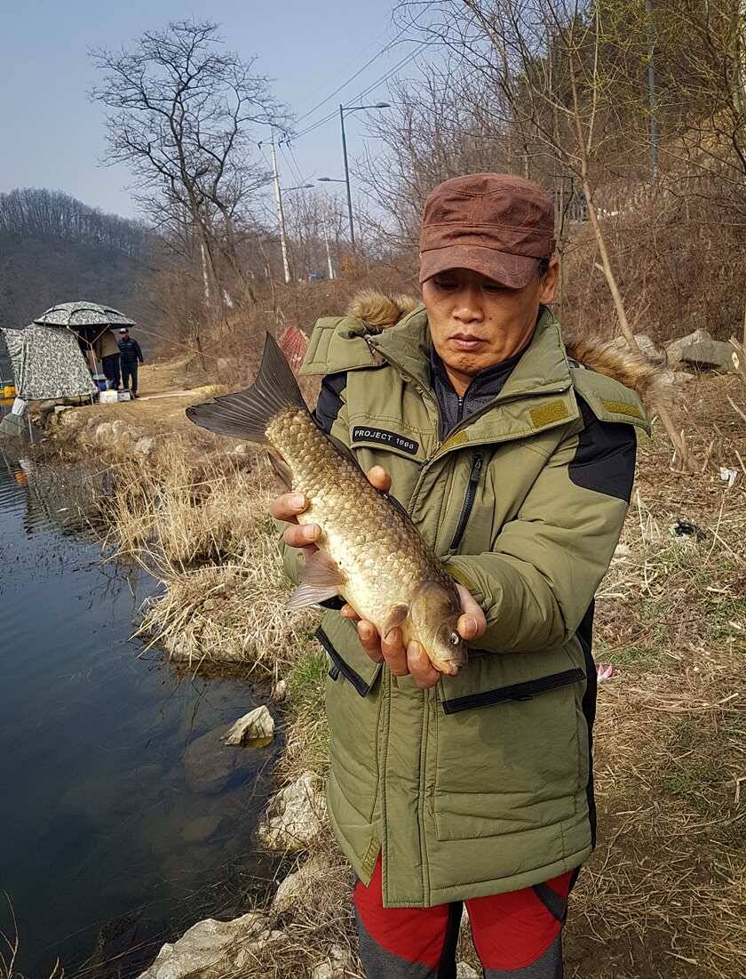 화곡지 4 짜 대박칠성지매전지 조황 (조황조행기 - 특파원조황)