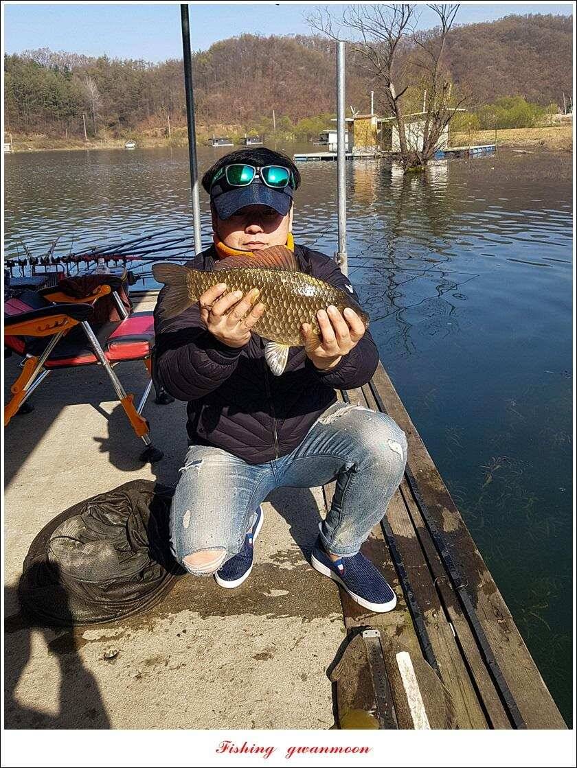 제일 39 cm 대물 조황화곡지칠성지 조황 (조황조행기 - 특파원조황)