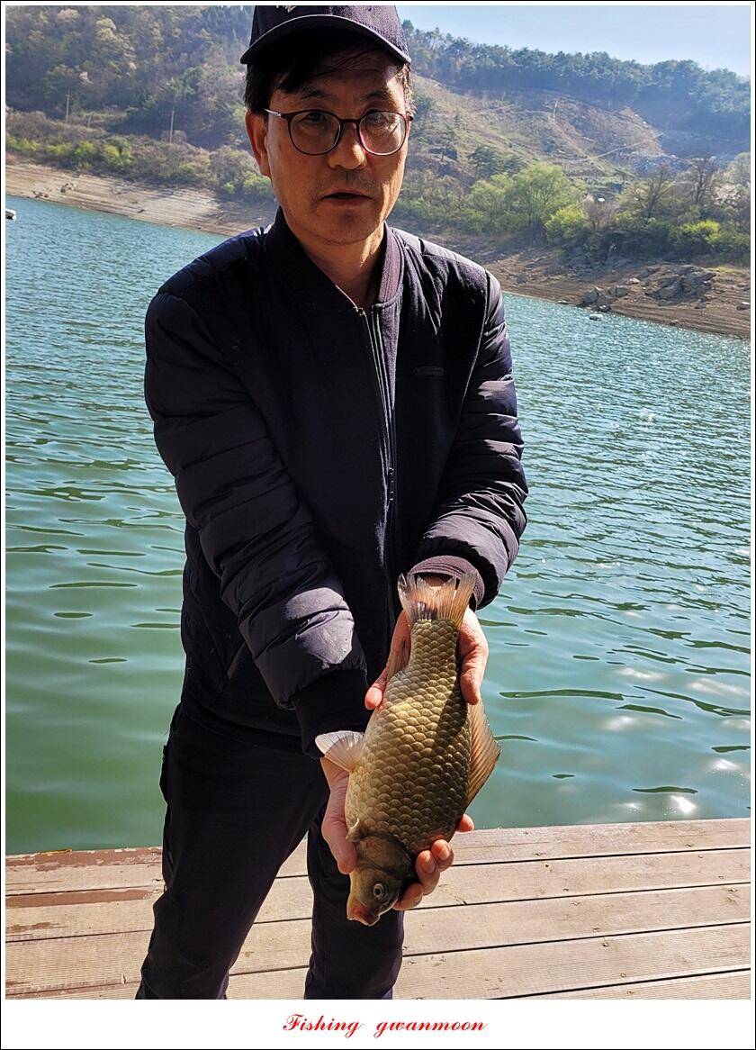 실리곡돌감 월척 조황 (조황조행기 - 특파원조황)
