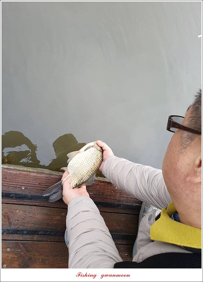 한버들 44 cm신리 415 cm41 cm실리곡 4 자돌감 4 짜화곡지 4 짜솔 37 cm 조황 정보 (조황조행기 - 특파원조황)