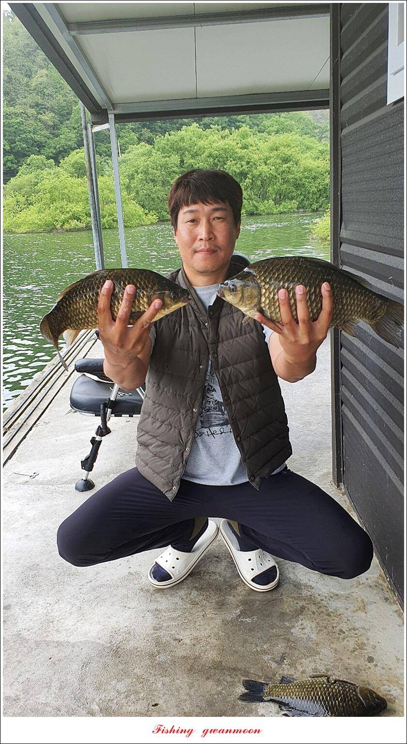 목벌 43 cm37 cm소류지 4 짜솔 낚시터 월척화곡지 대물 조황 (조황조행기 - 특파원조황)