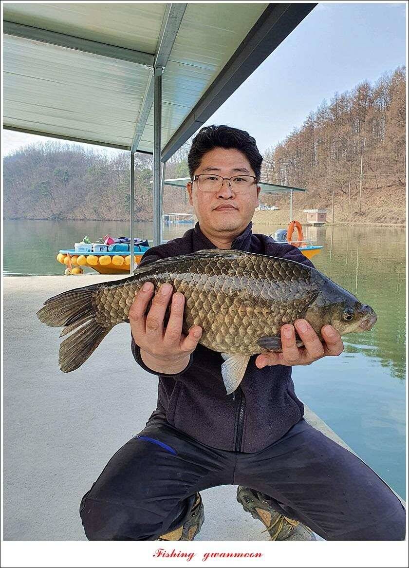 검단수로 43 cm화곡지 사짜 조황 (조황조행기 - 특파원조황)