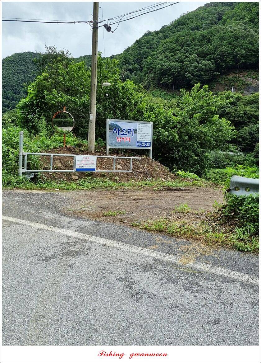 화곡지 4 짜목벌 4 짜한버들 4 짜사오리 4 짜 대물 조황 (조황조행기 - 특파원조황)