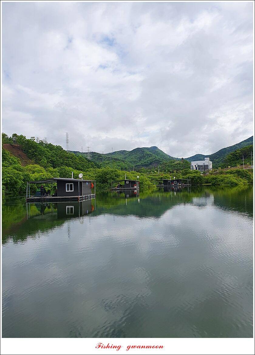 한버들 44 cm신리 415 cm41 cm실리곡 4 자돌감 4 짜화곡지 4 짜솔 37 cm 조황 정보 (조황조행기 - 특파원조황)