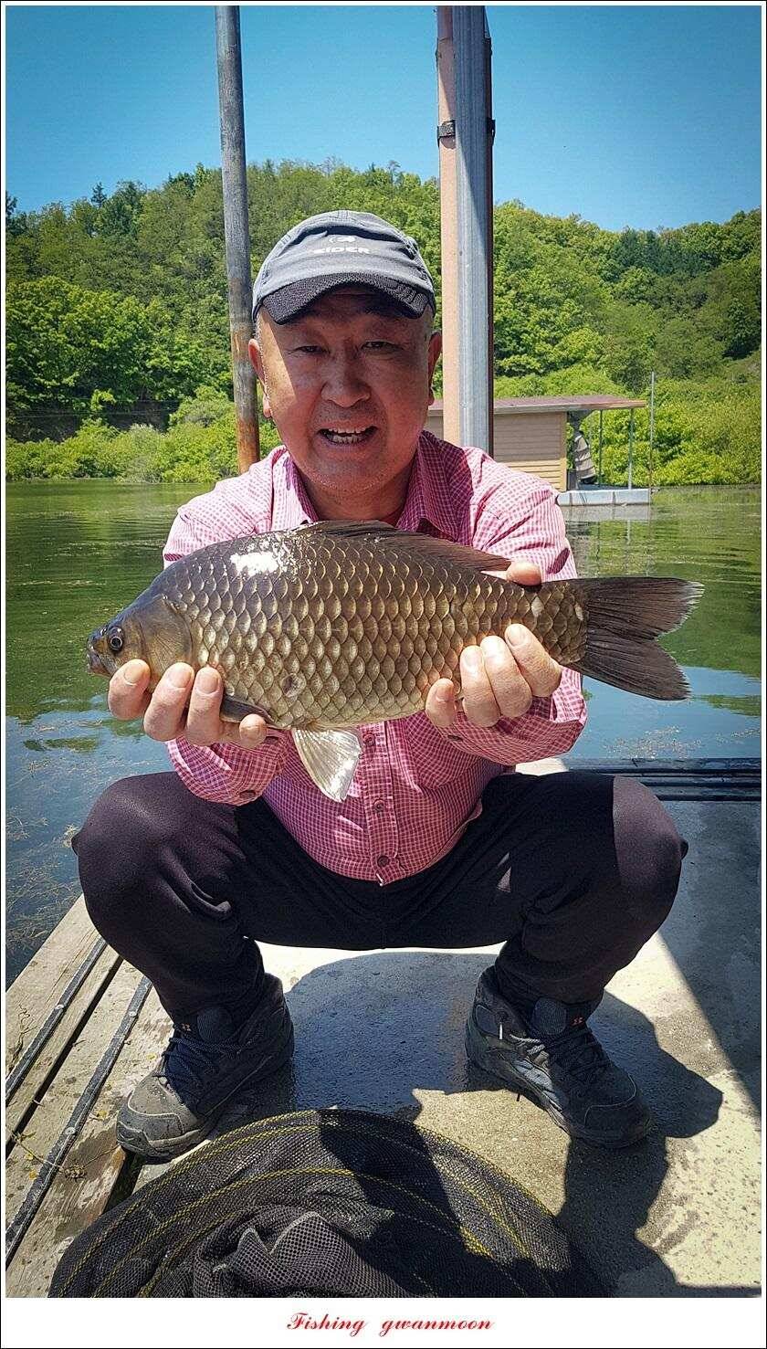 화곡지 사짜칠성지 사짜 대물 조황 (조황조행기 - 특파원조황)