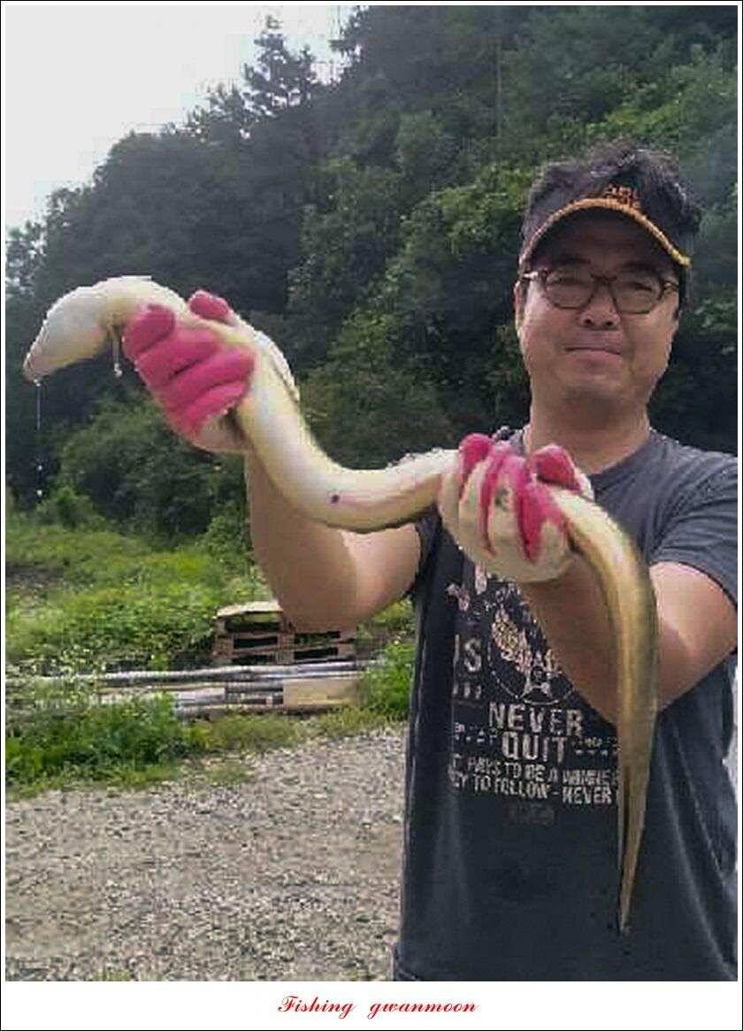 제일늘푸른종점 낚시터 조황 소식 (조황조행기 - 특파원조황)