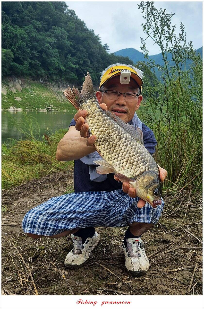 충주호 2 차 오름수위명서목벌화곡지 조황 (조황조행기 - 특파원조황)