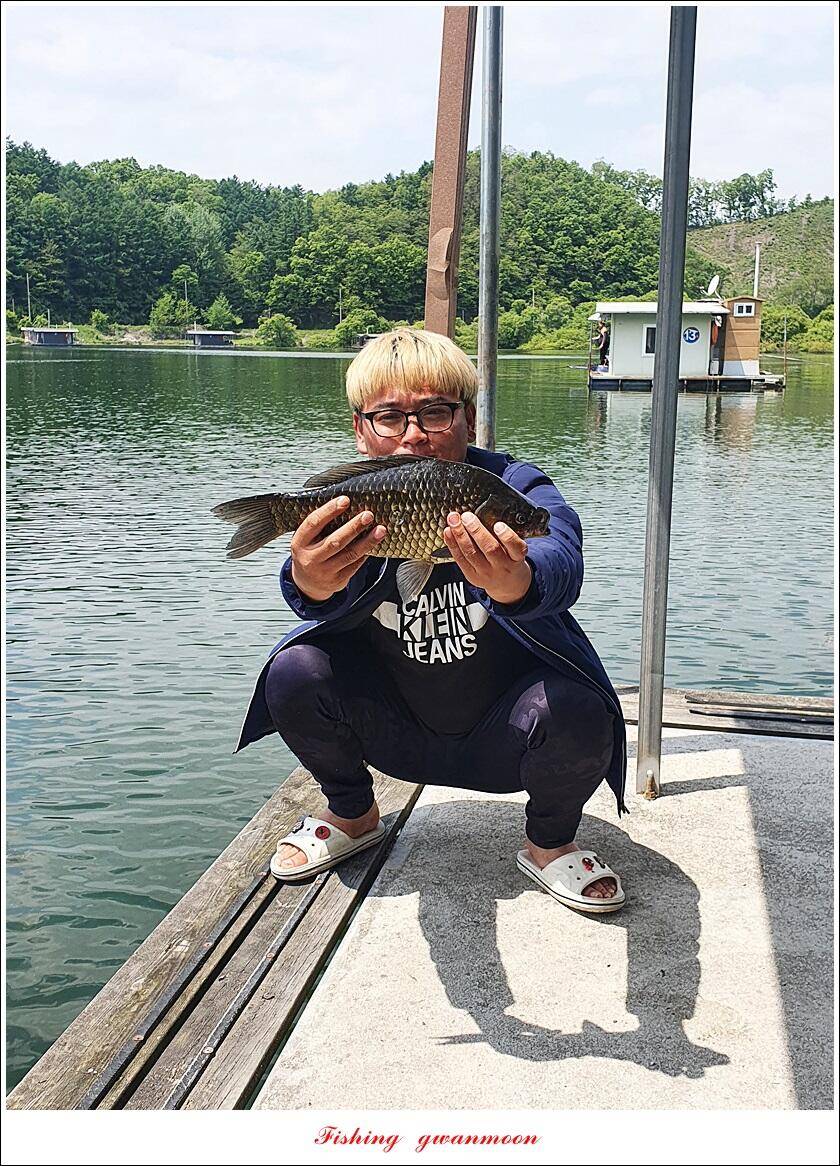 돌감 4 짜화곡지 4 짜 마릿수 조황 (조황조행기 - 특파원조황)
