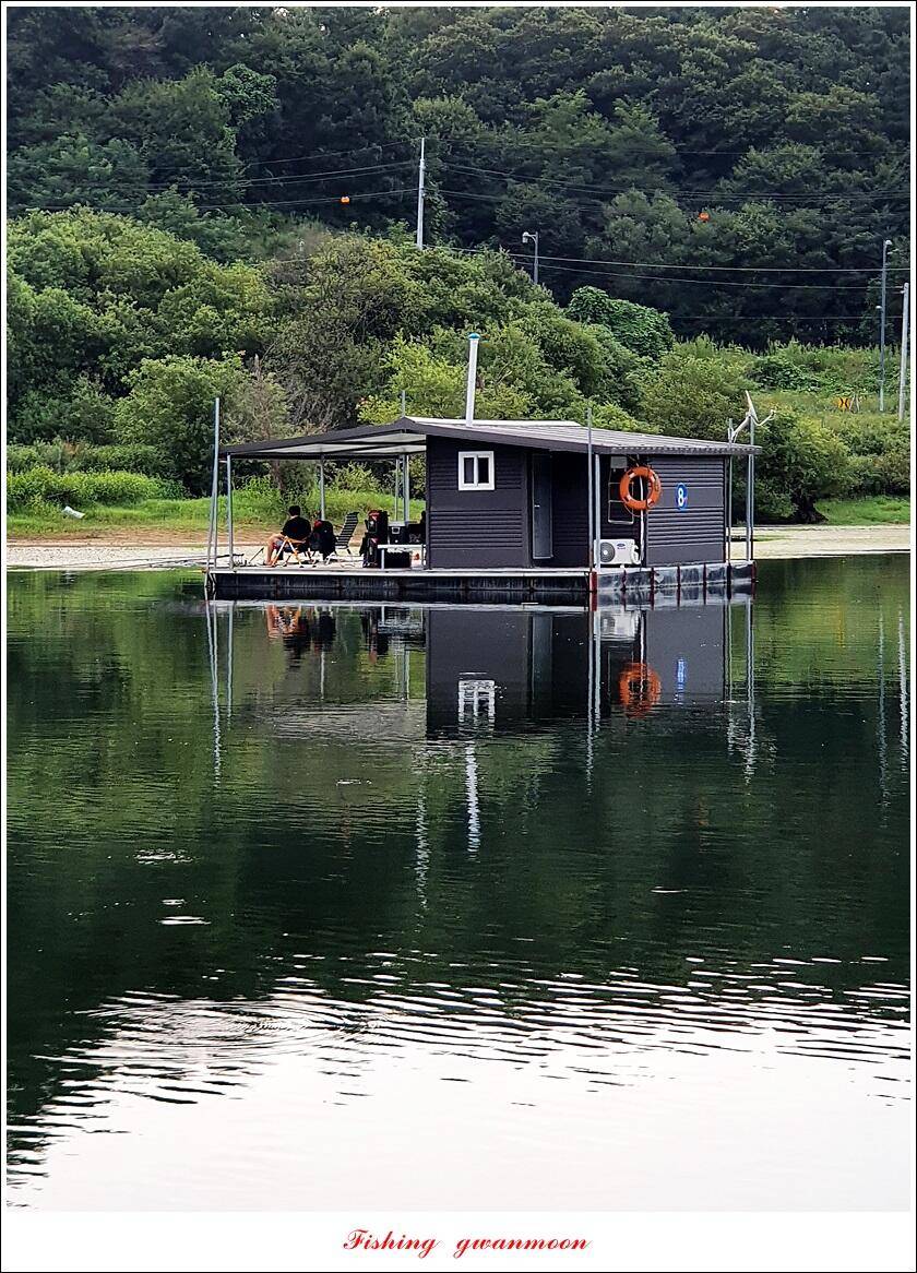 충주호 오름수위화곡지 조황 (조황조행기 - 특파원조황)