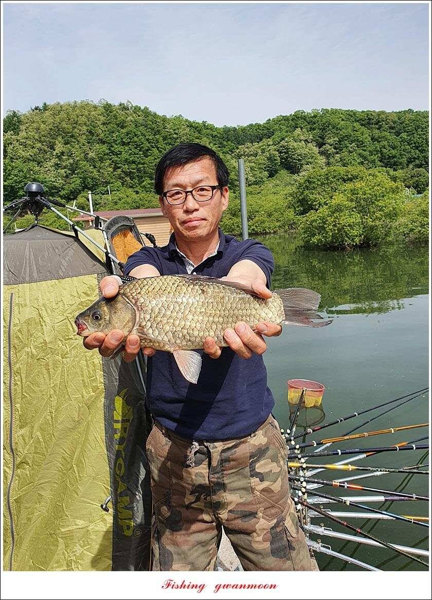 제일 4 짜돌감 39cm화곡지 대물 조황 (조황조행기 - 특파원조황)