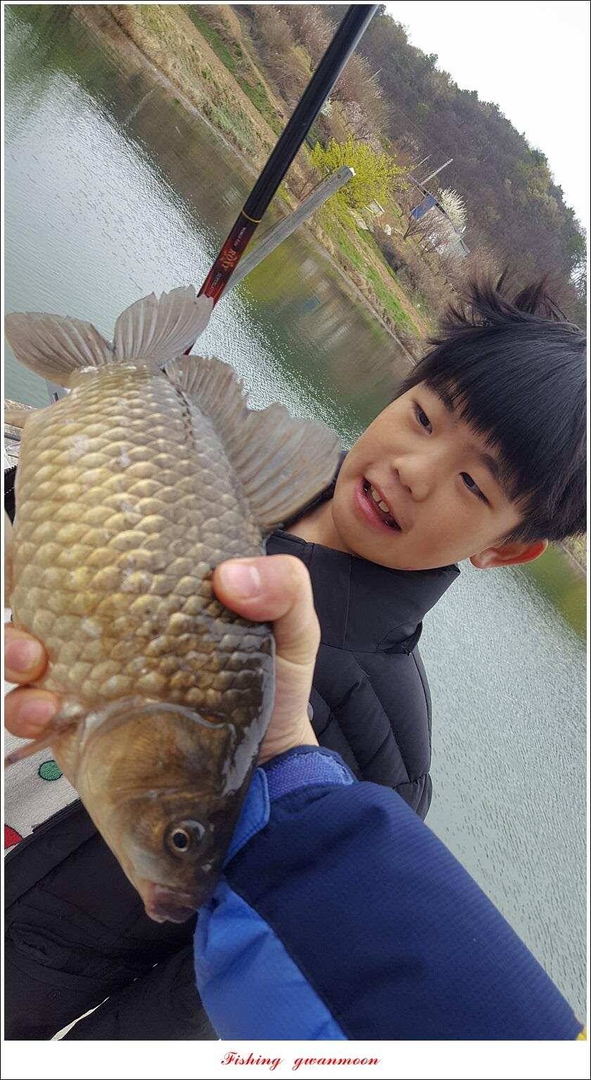 제일 39 cm 대물 조황화곡지칠성지 조황 (조황조행기 - 특파원조황)