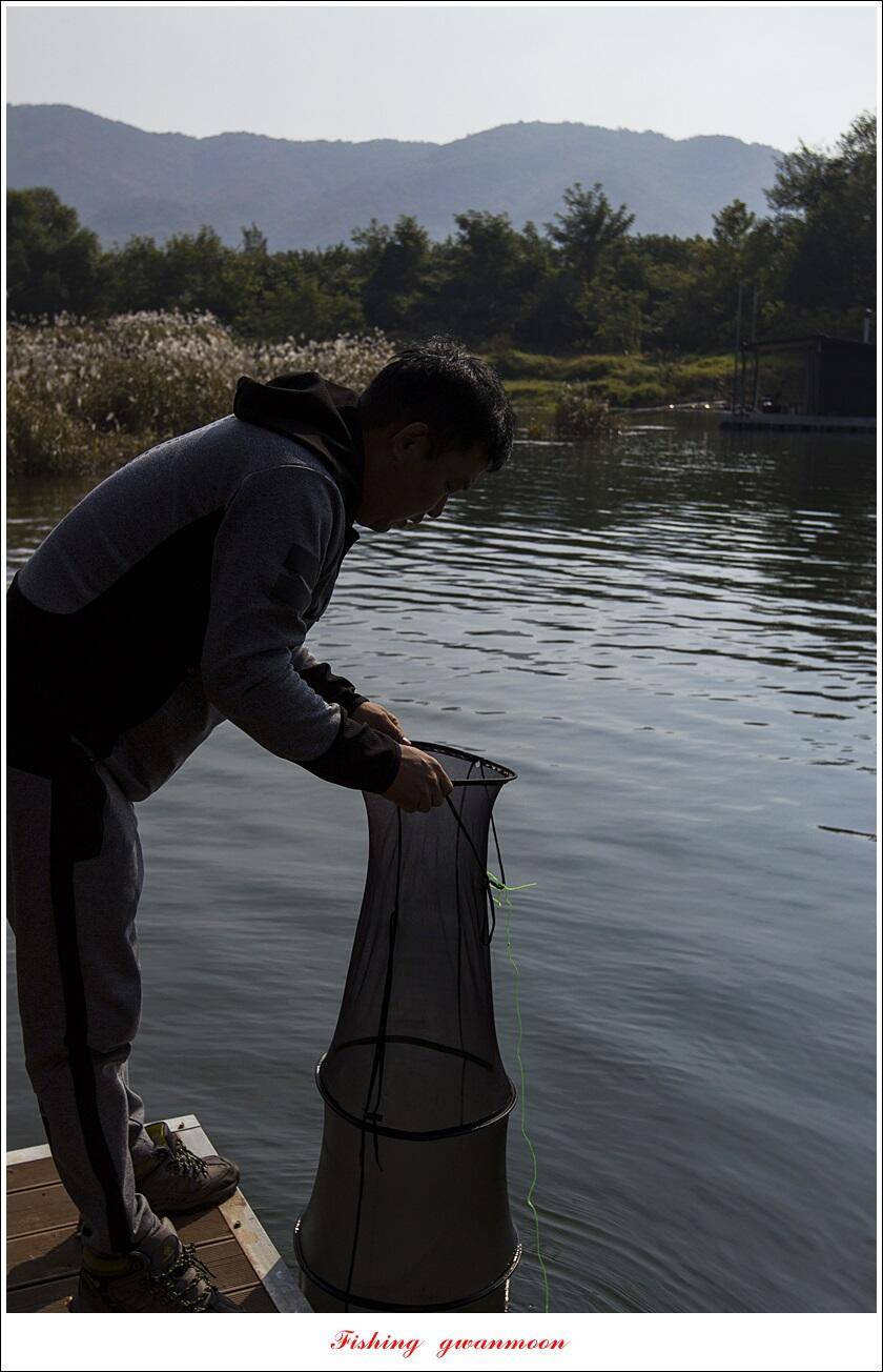돌감 4 짜솔 39 cm38 cm마릿수 월척 조황 (조황조행기 - 특파원조황)