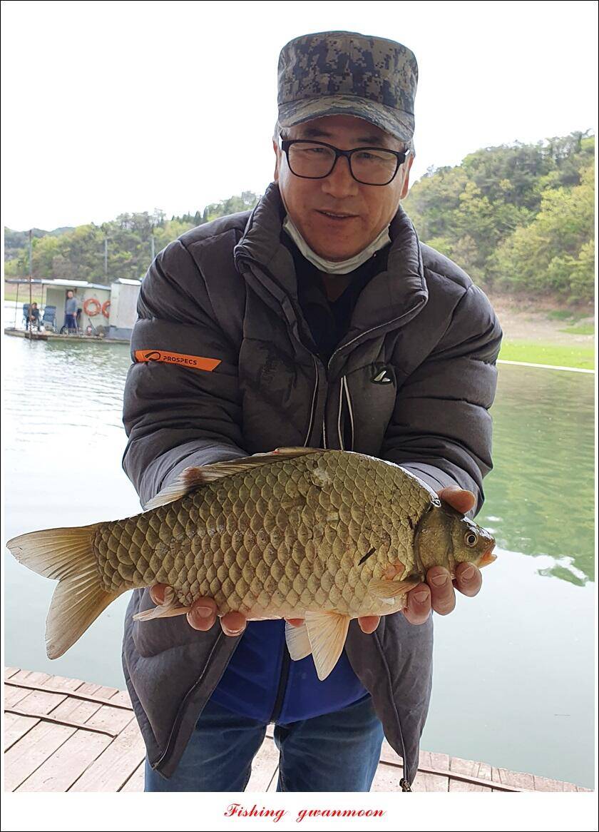 한버들 4 짜신리 4 짜실리곡 4 짜대물 조황 (조황조행기 - 특파원조황)