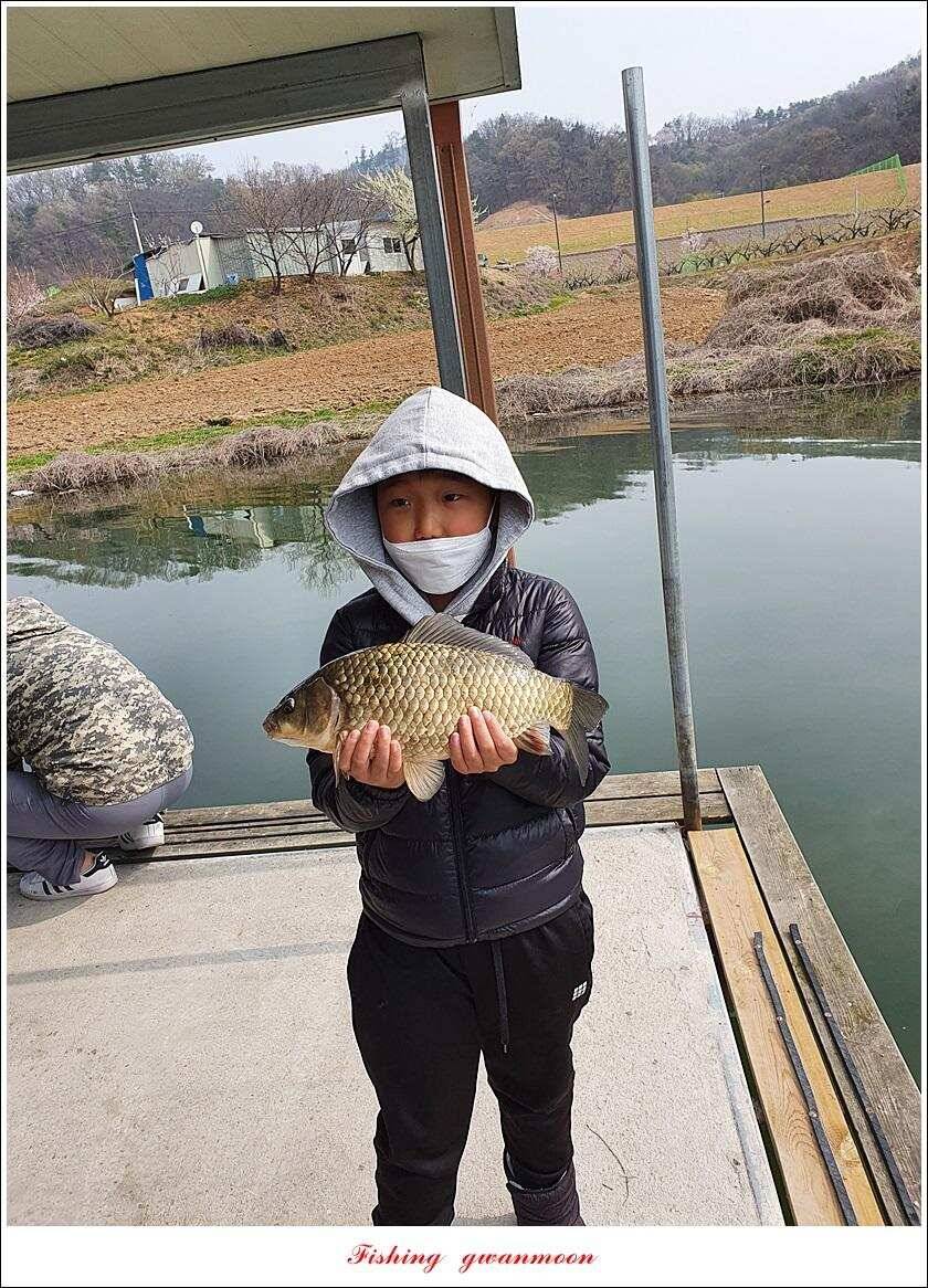 한버들 4 짜노지39 cm화곡지 사짜 조황 (조황조행기 - 특파원조황)