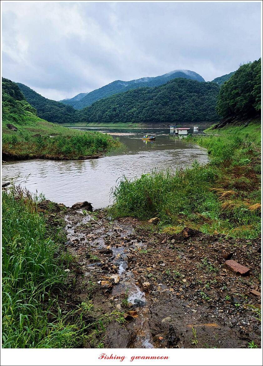 한버들 4 짜 2 수신리 4 짜명서 4 짜 및 충주호 노지 현황 (조황조행기 - 특파원조황)