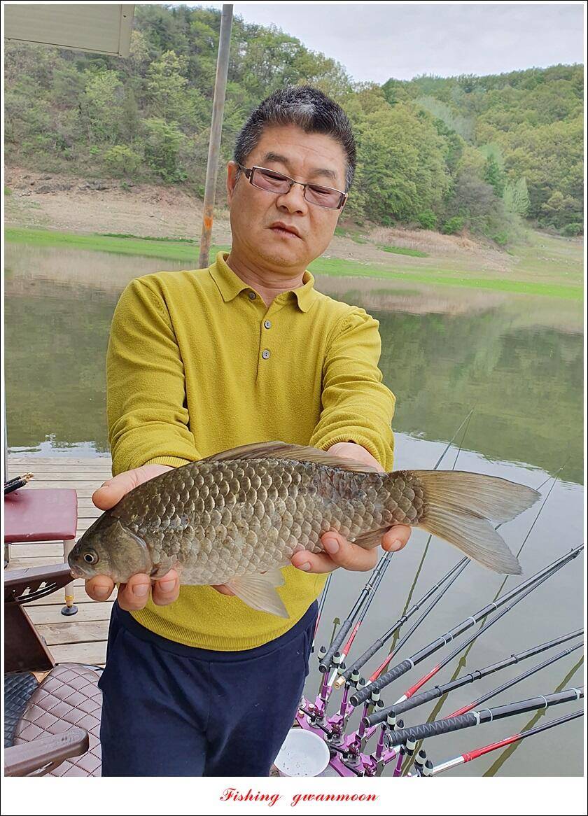 한버들 4 짜신리 4 짜실리곡 4 짜대물 조황 (조황조행기 - 특파원조황)