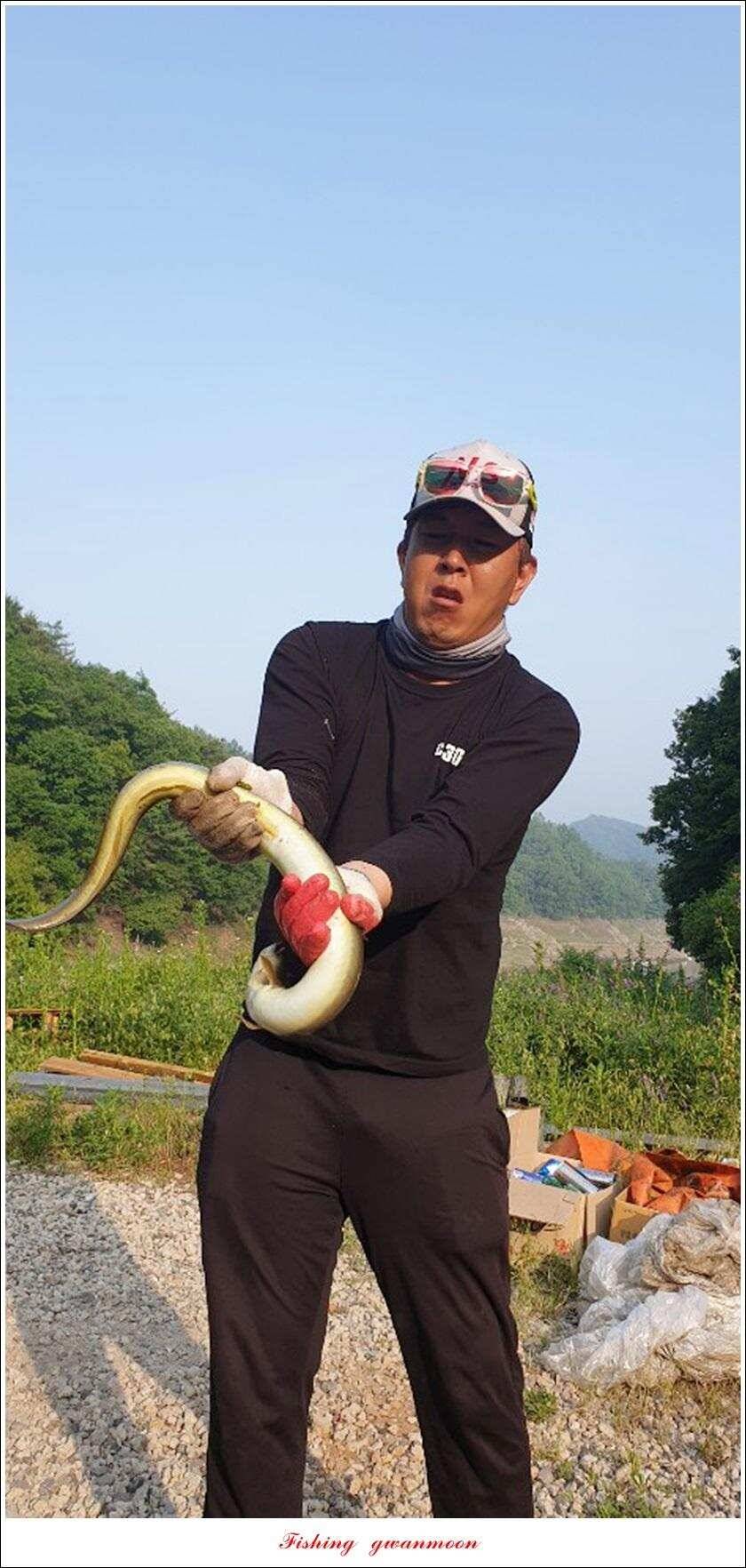 돌감 385 cm늘푸른 37cm35 cm월척 및 장어 조황 (조황조행기 - 특파원조황)