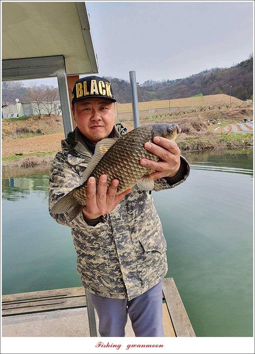 한버들 4 짜노지39 cm화곡지 사짜 조황 (조황조행기 - 특파원조황)