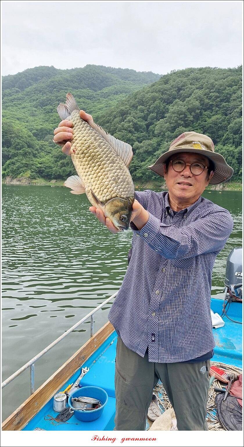 명서 4 짜화곡지 대물 및 마릿수 조황 (조황조행기 - 특파원조황)