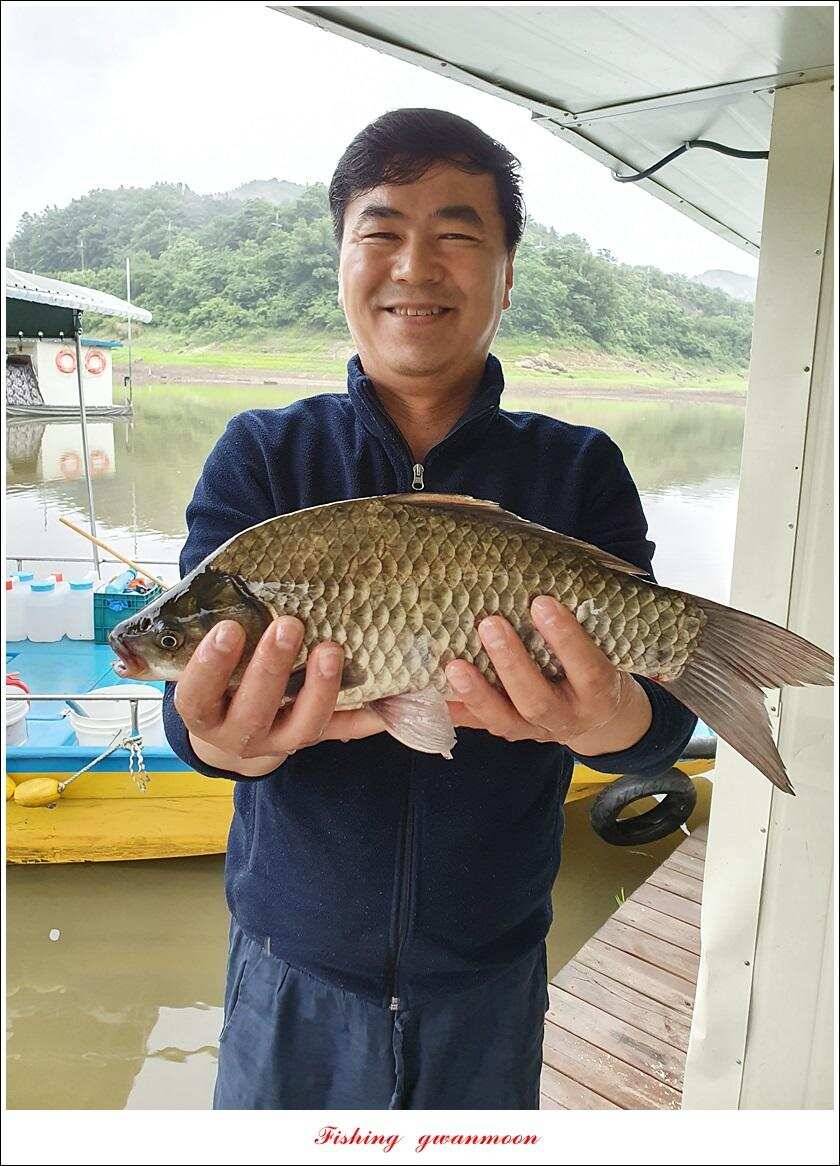 돌감 4 짜실리곡 4 짜신리 4 짜한버들 월척 조황 (조황조행기 - 특파원조황)