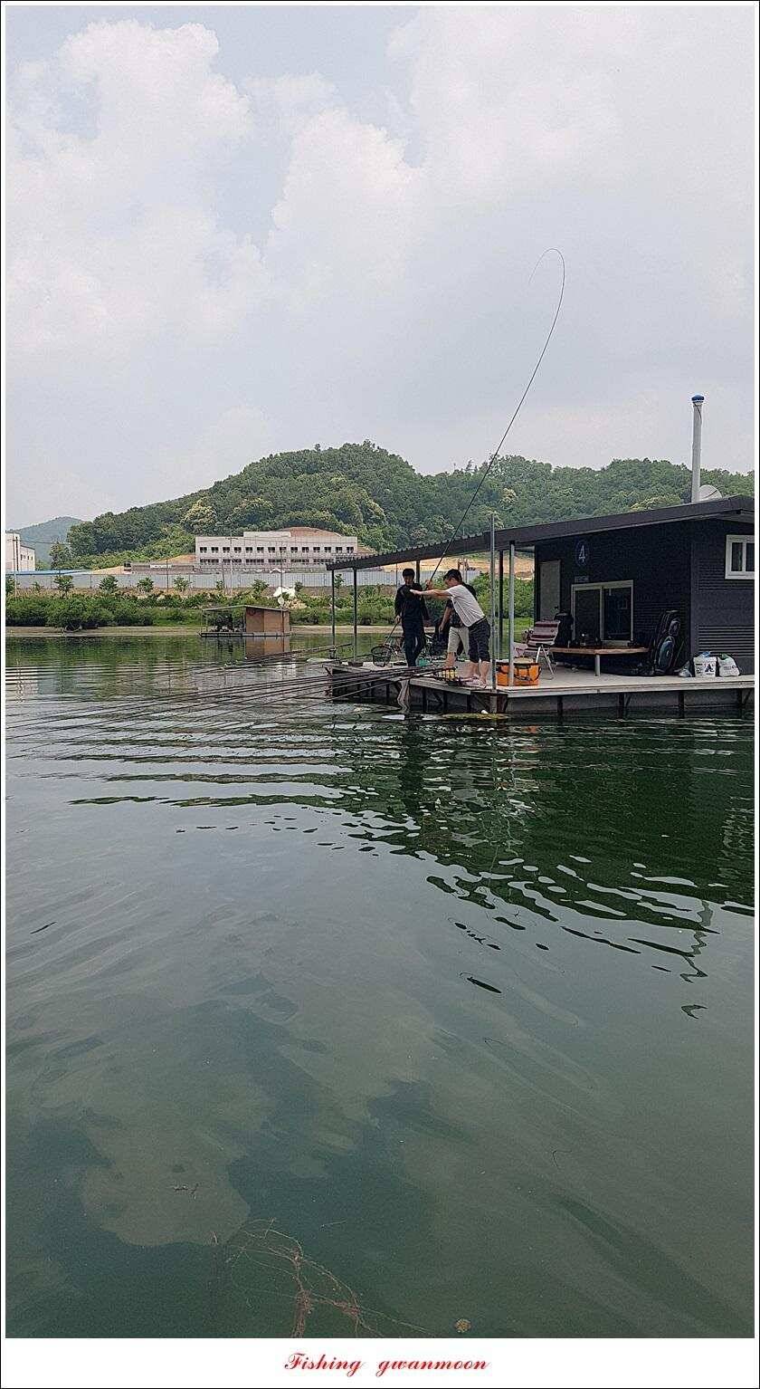 신매늘푸른화곡지 월척 조황 (조황조행기 - 특파원조황)