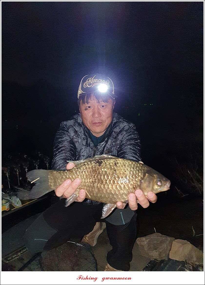 검단수로 43 cm화곡지 사짜 조황 (조황조행기 - 특파원조황)