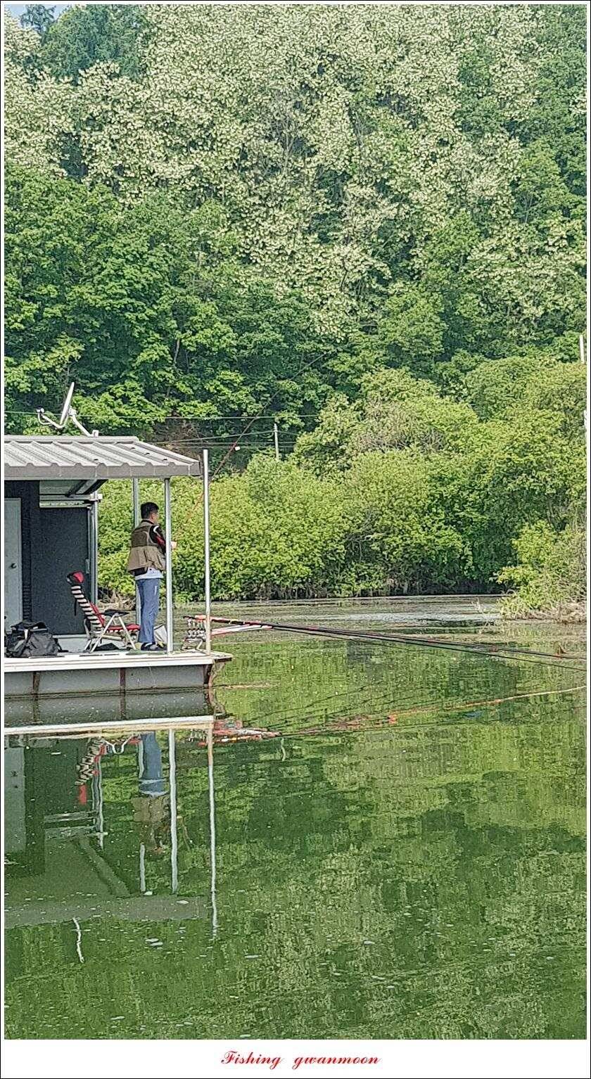 추평지 47 cm화곡지칠성지 조항 (조황조행기 - 특파원조황)
