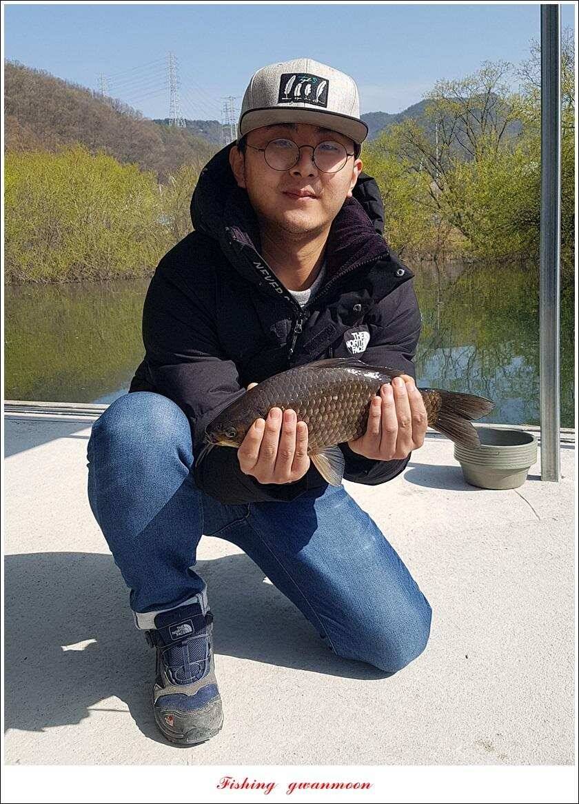 제일 39 cm 대물 조황화곡지칠성지 조황 (조황조행기 - 특파원조황)