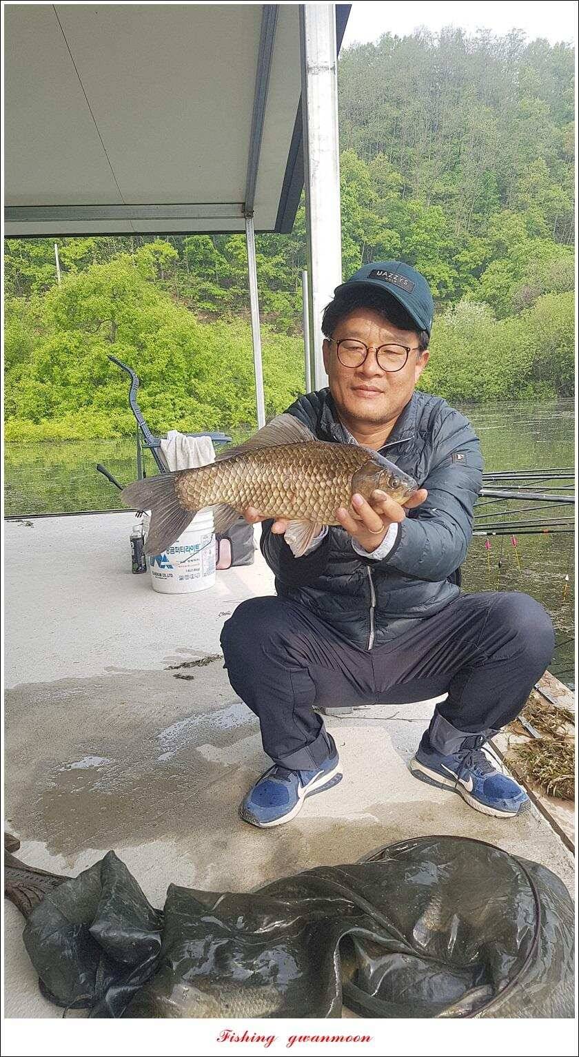 화곡지 사짜 마릿수칠성지 대물 조황 (조황조행기 - 특파원조황)