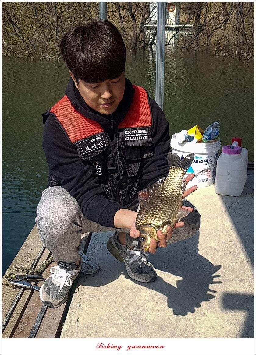 화곡지 사짜칠성지갈마늪대제지추평지 조황 (조황조행기 - 특파원조황)
