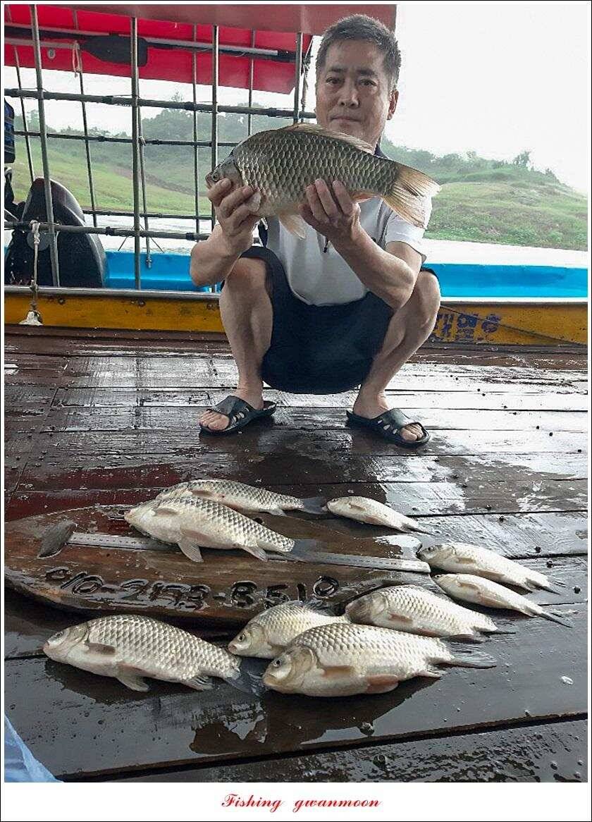 돌감 사짜38 cm38 cm마릿수 월척 조황 (조황조행기 - 특파원조황)
