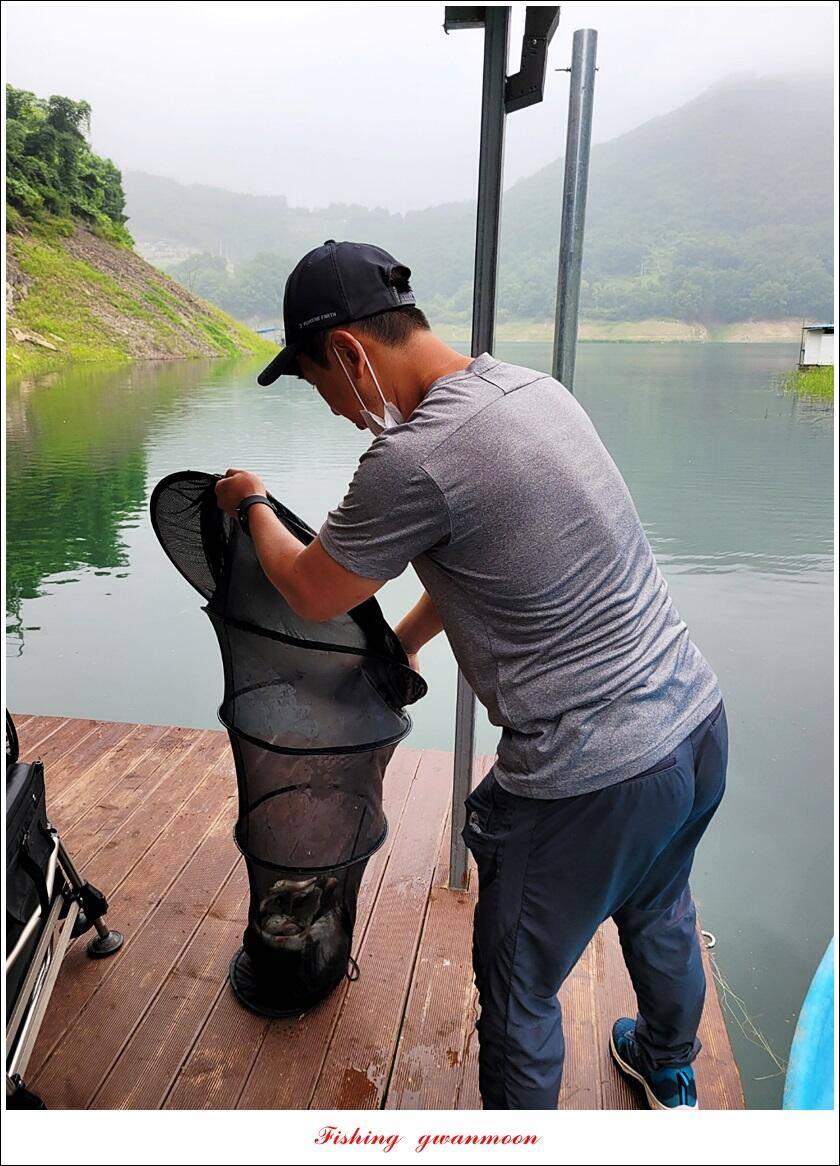 충주호 2 차 오름수위명서목벌화곡지 조황 (조황조행기 - 특파원조황)