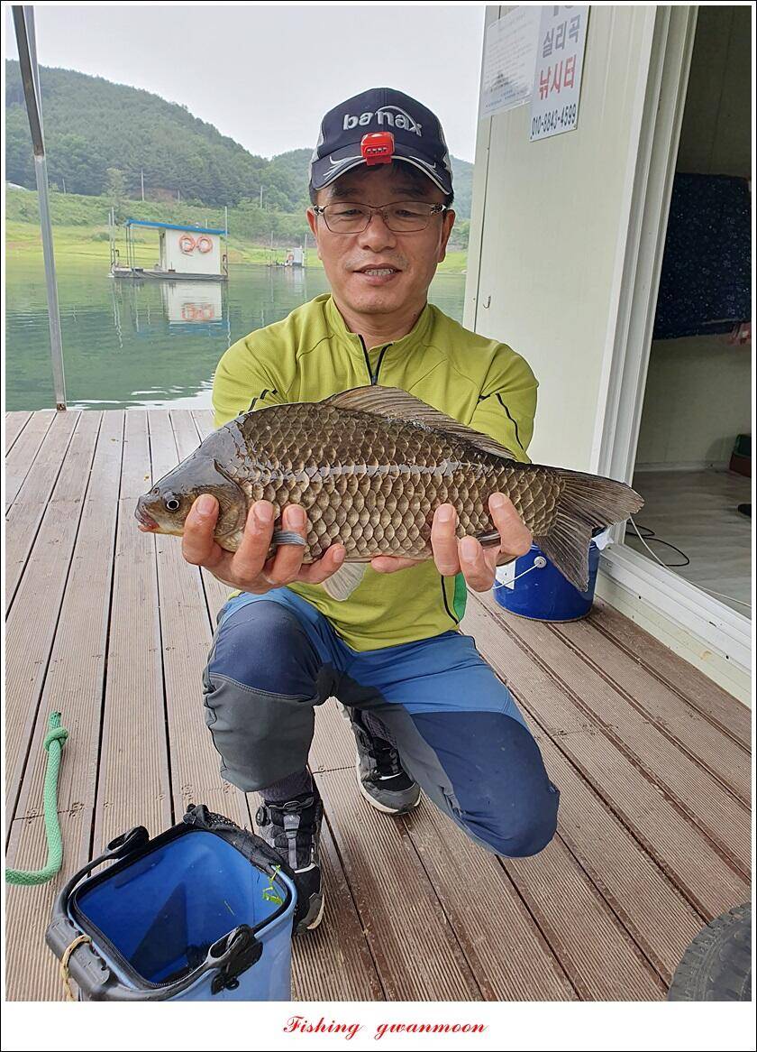 실리곡 43 cm한버들 41 cm 대물 조황 (조황조행기 - 특파원조황)