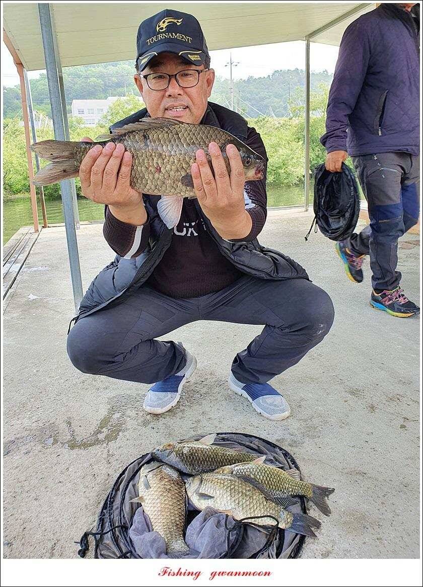 제일 435 cm415 cm문골 37 cm화곡지 4 짜 대물 조황 (조황조행기 - 특파원조황)