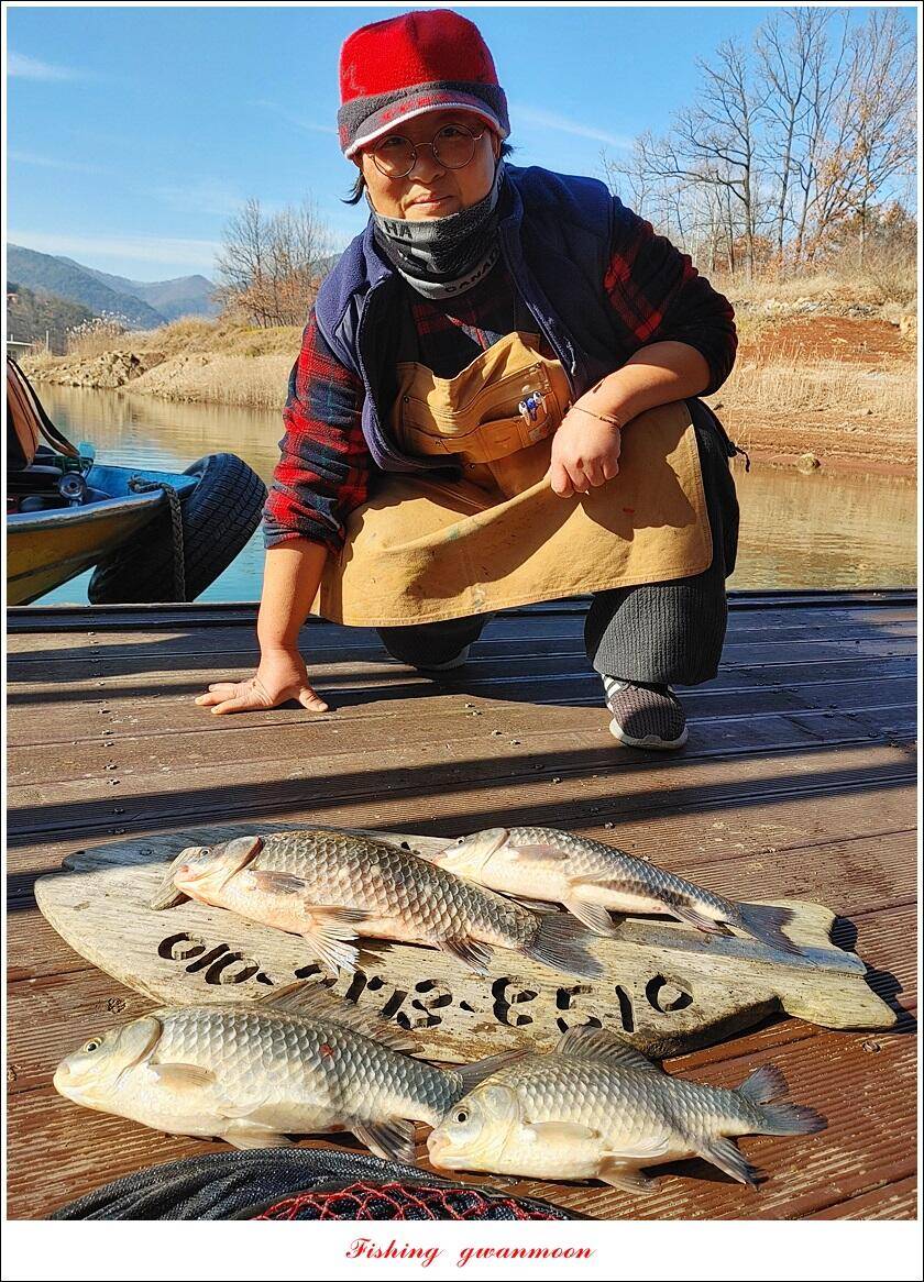 한버들 왕중왕전 대회신리 465 cm 대물 돌감 37 cm34 cm월척 조황 (조황조행기 - 특파원조황)