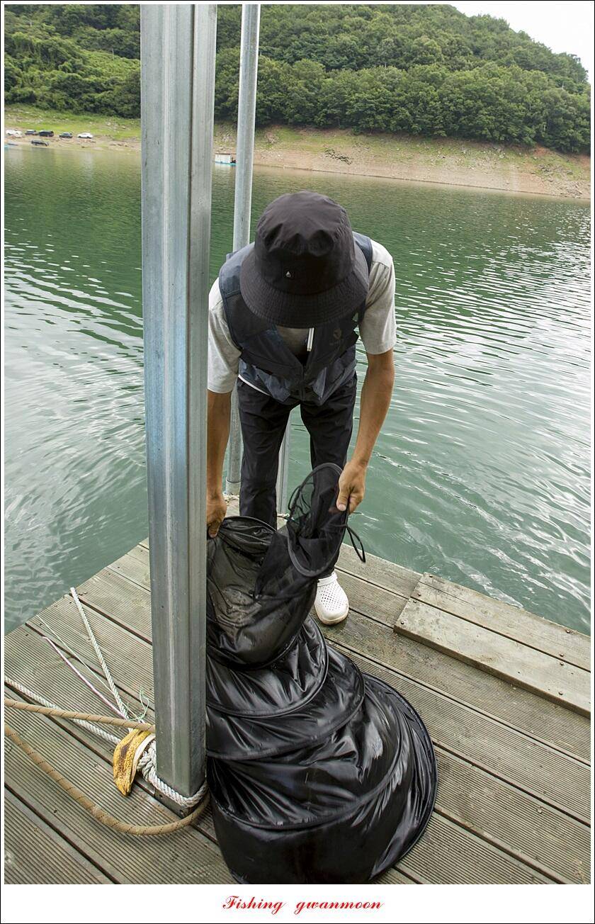 사오리 445 cm41 cm 대물 조황 (조황조행기 - 특파원조황)