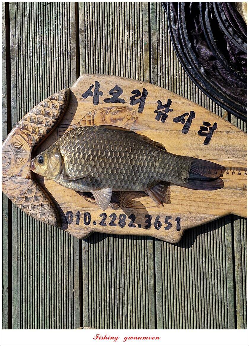 사오리 4 짜 조황 (조황조행기 - 특파원조황)