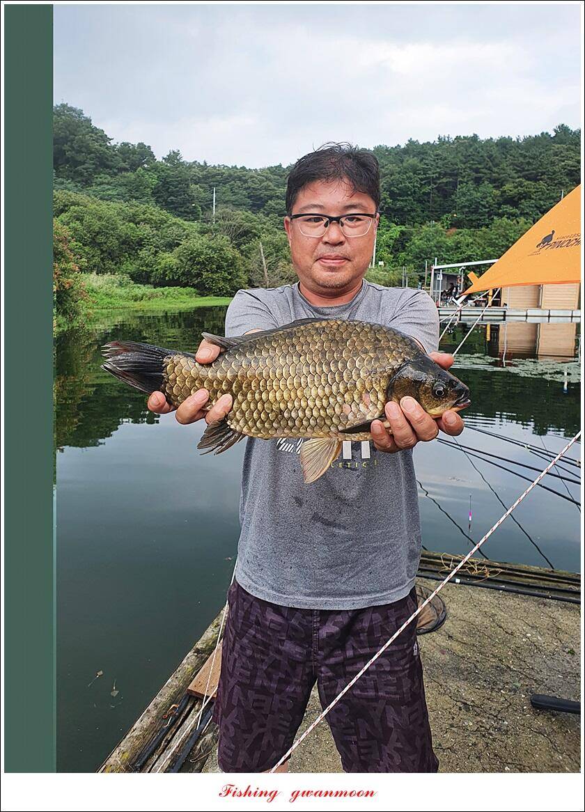 솔 낚시터 41 cm 대물화곡지 조황 (조황조행기 - 특파원조황)