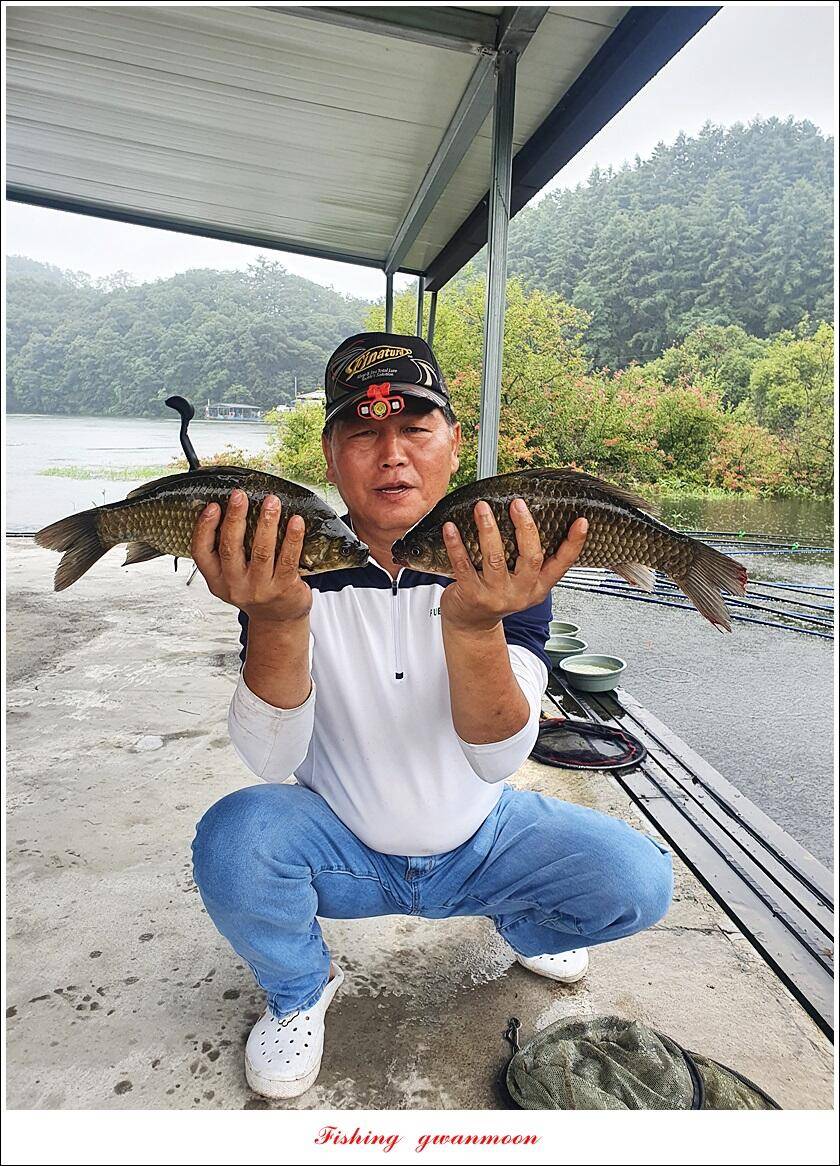솔 낚시터 41 cm 대물화곡지 조황 (조황조행기 - 특파원조황)