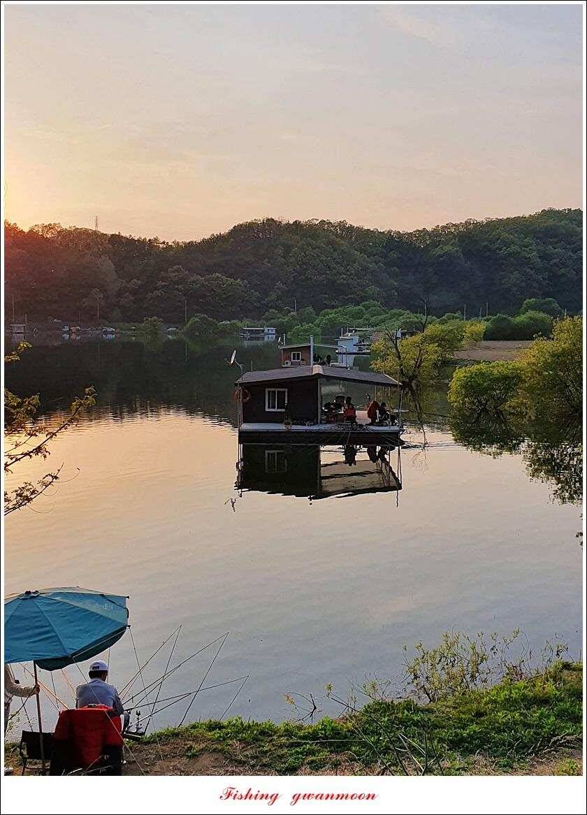 노지 4 짜신리 4 짜화곡지 4 짜 대물 조황 (조황조행기 - 특파원조황)